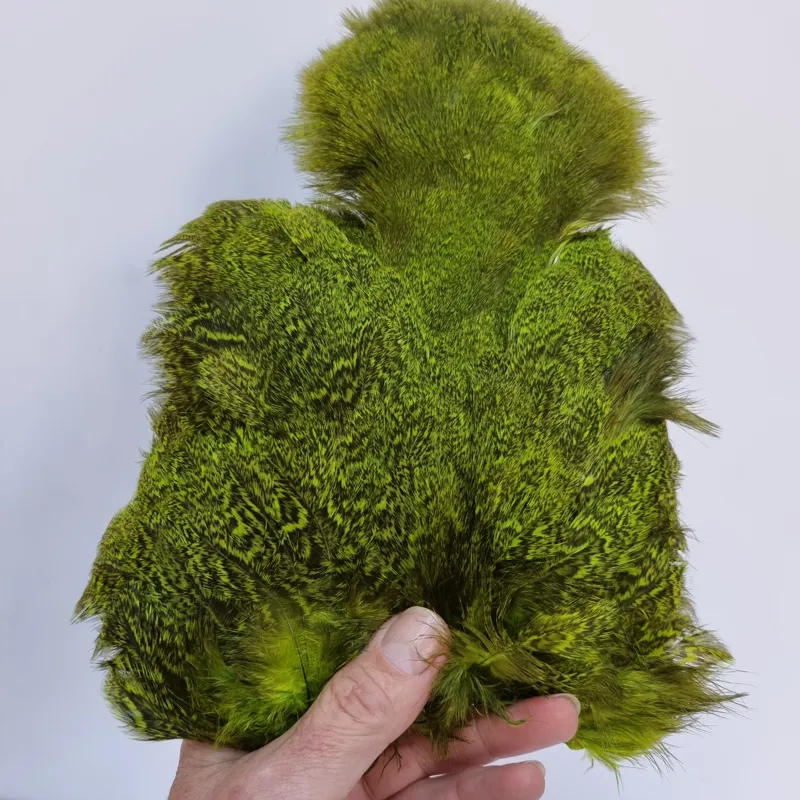 Whiting Coq de Leon Hen Soft Hackle with Chickabou in Speckled Fl.Green Chartreuse-8